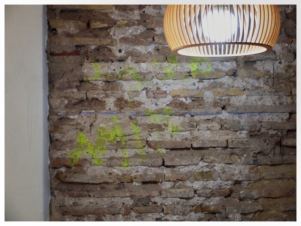 WhatsApp Image 2021-04-26 at 17.40.39 (1)